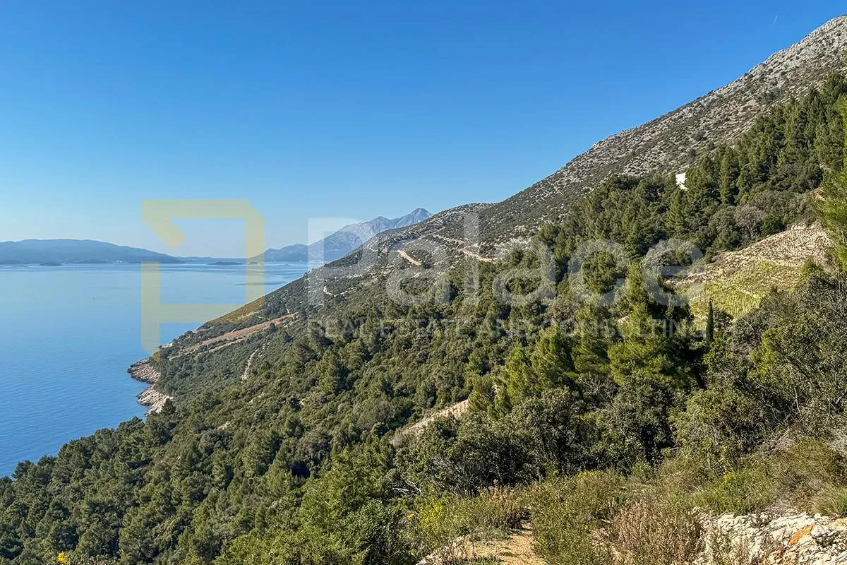 poljoprivredno zemljište s vinogradom, 40.000 m² uz more - pelješac - slika 17