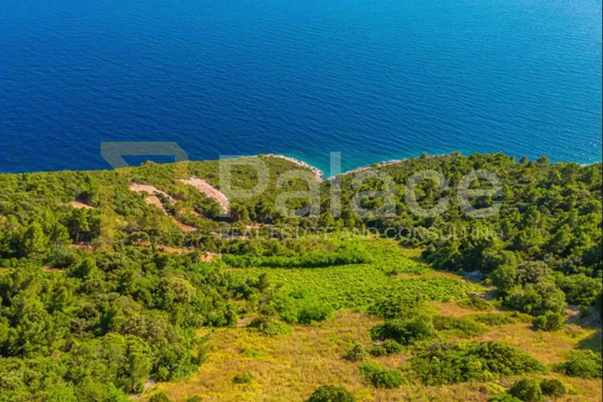 poljoprivredno zemljište s vinogradom, 40.000 m² uz more - pelješac - slika 6