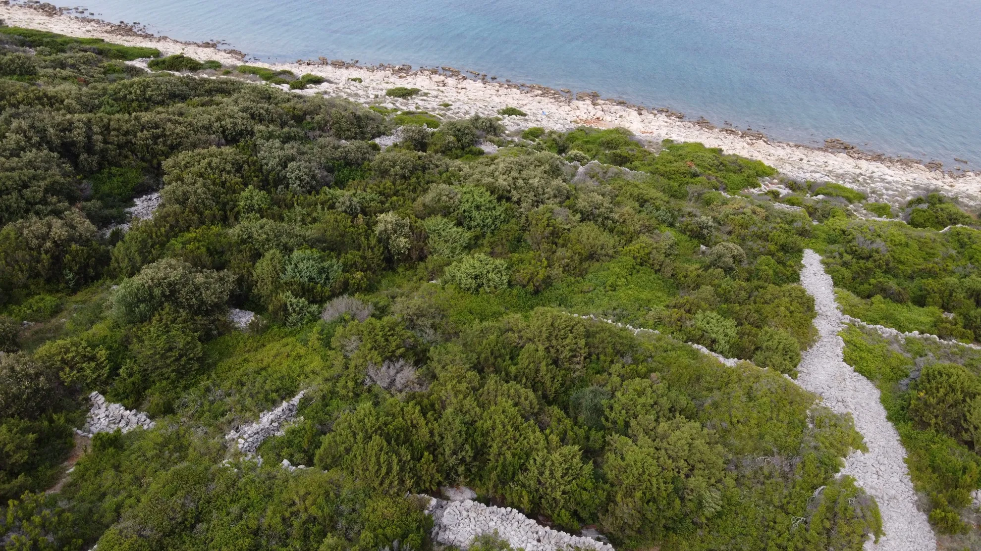 prodaja poljoprivrednog zemljišta prvi red uz more, 2449 m2 - slika 5