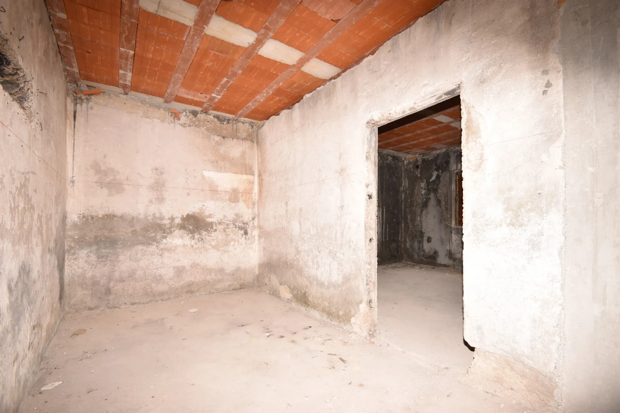 perspektivna kuća s velikim dvorištem: bribir, 150.00 m2 - slika 9