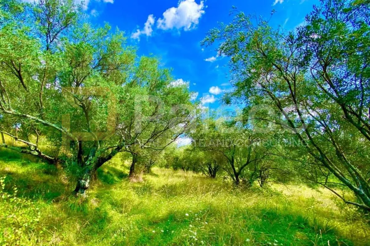građevinsko zemljište s panoramskim pogledom, 2257 m² - slika 10