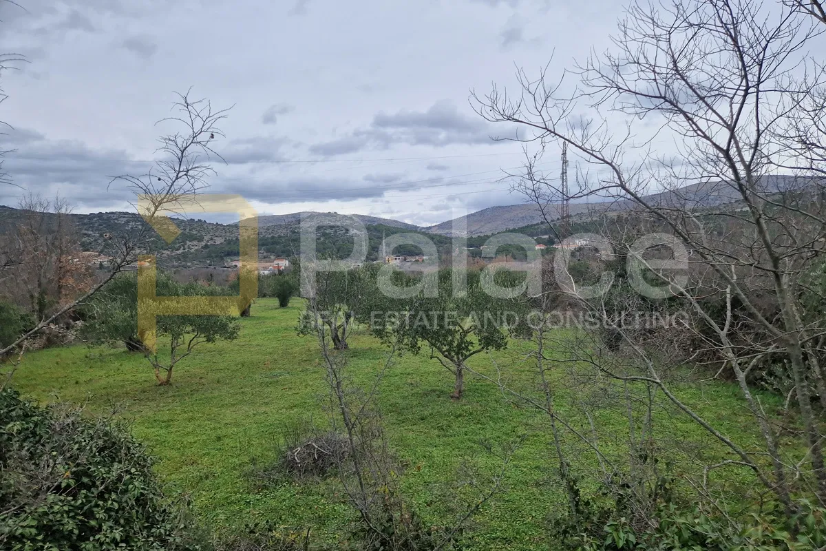 uređeni maslinik, dubrava kod šibenika, 2798 m2 - slika 2