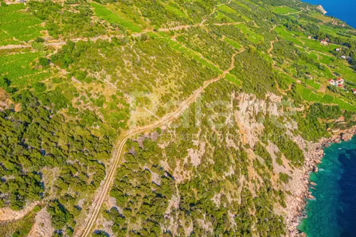vinograd s pogledom na more i otoke - pelješac, dingač - slika 10