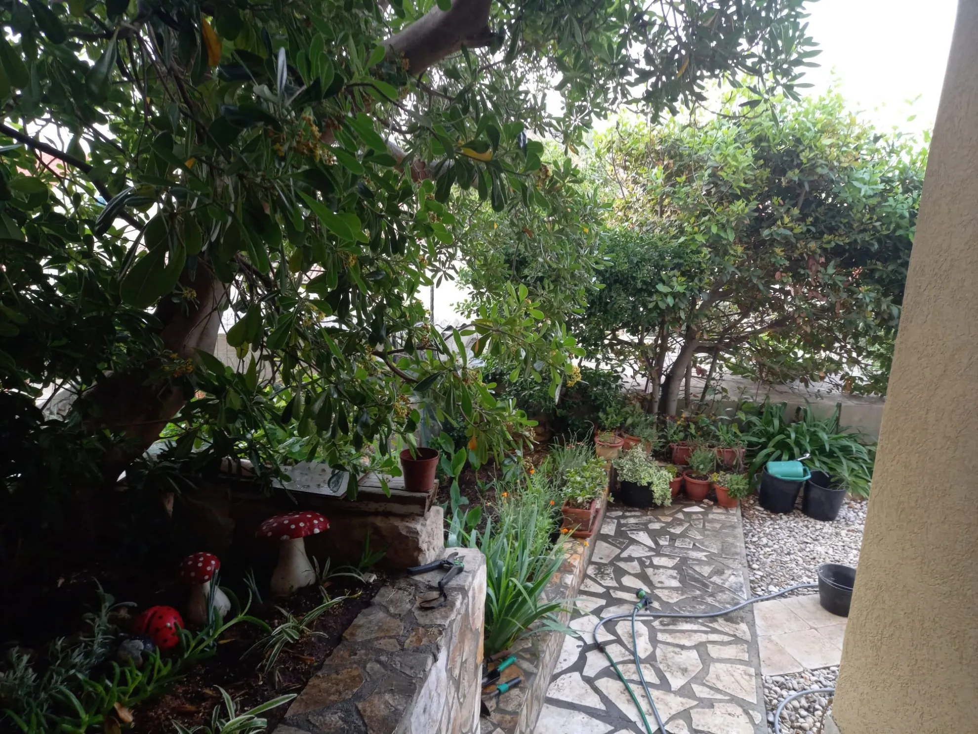 kuća s okućnicom u malom lošinju, 2. red od mora, 200m2+390m2 - slika 8