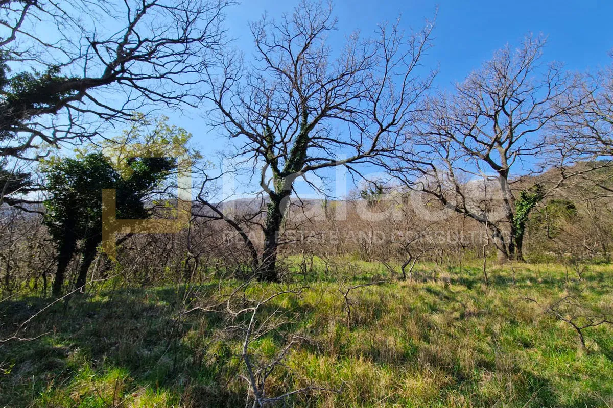 drivenik – poljoprivredno zemljište 967 m², mir i priroda - slika 7