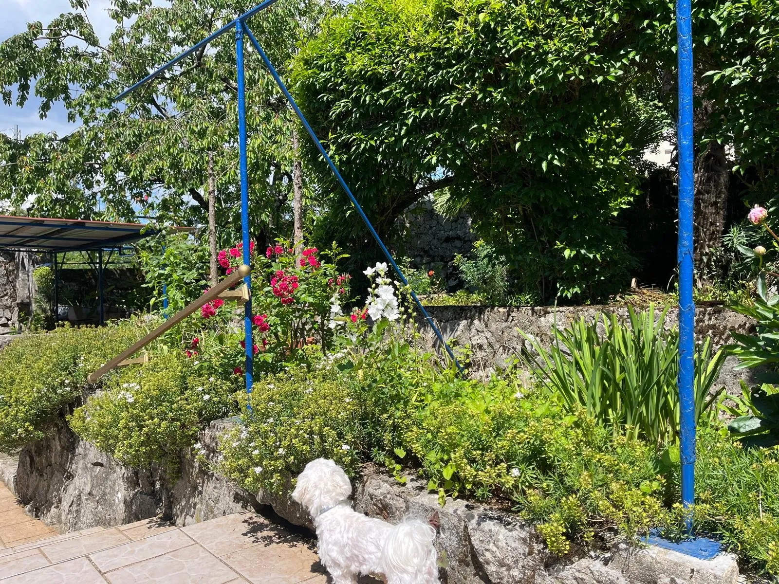 kuća 280m2 s okućnicom 1000m2 u bajkovitoj prirodi, matulji, jurdani - slika 9