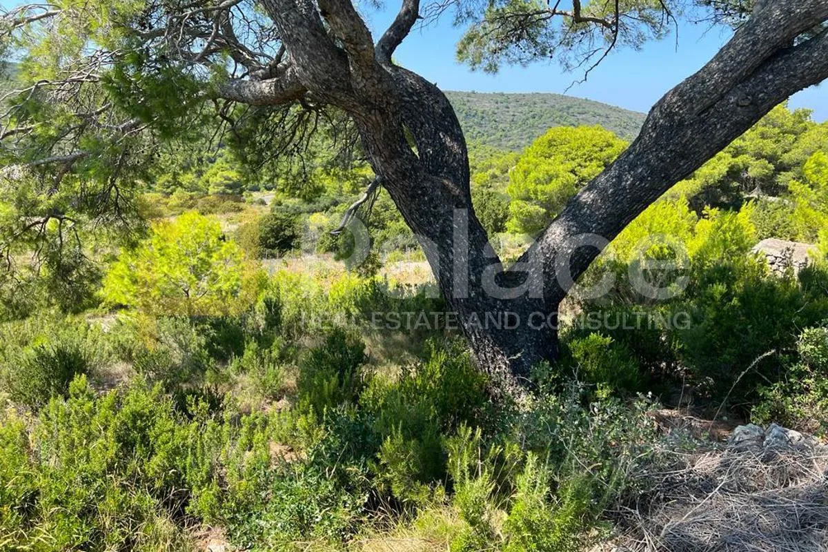 poljoprivredno zemljište s kućicom, 13.698 m² – vis, smokova - slika 9