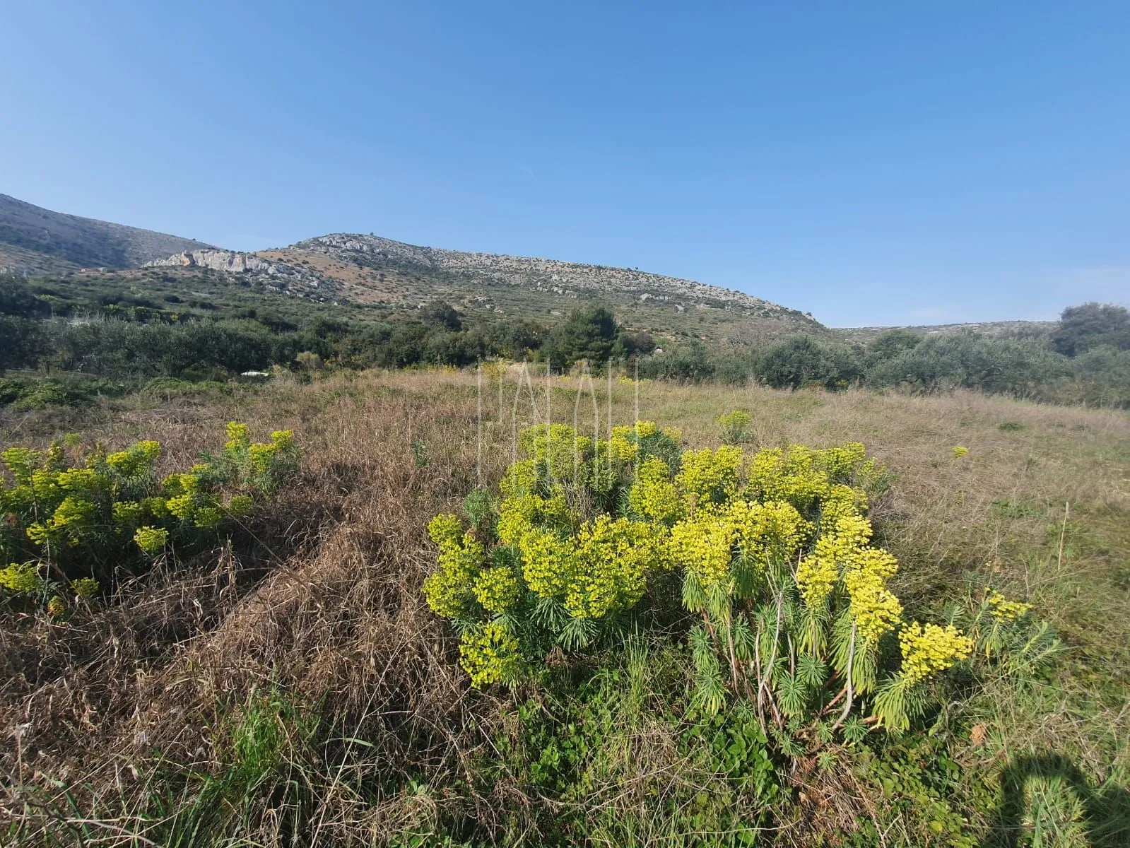 građ. zemljište s pogledom, trogir, 1405 m2 - slika 3