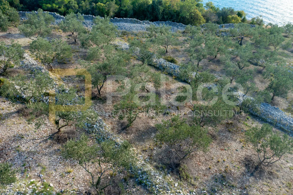 bilice, vrulje: poljoprivredno zemljište u prvom redu do mora 4050m2 - slika 3