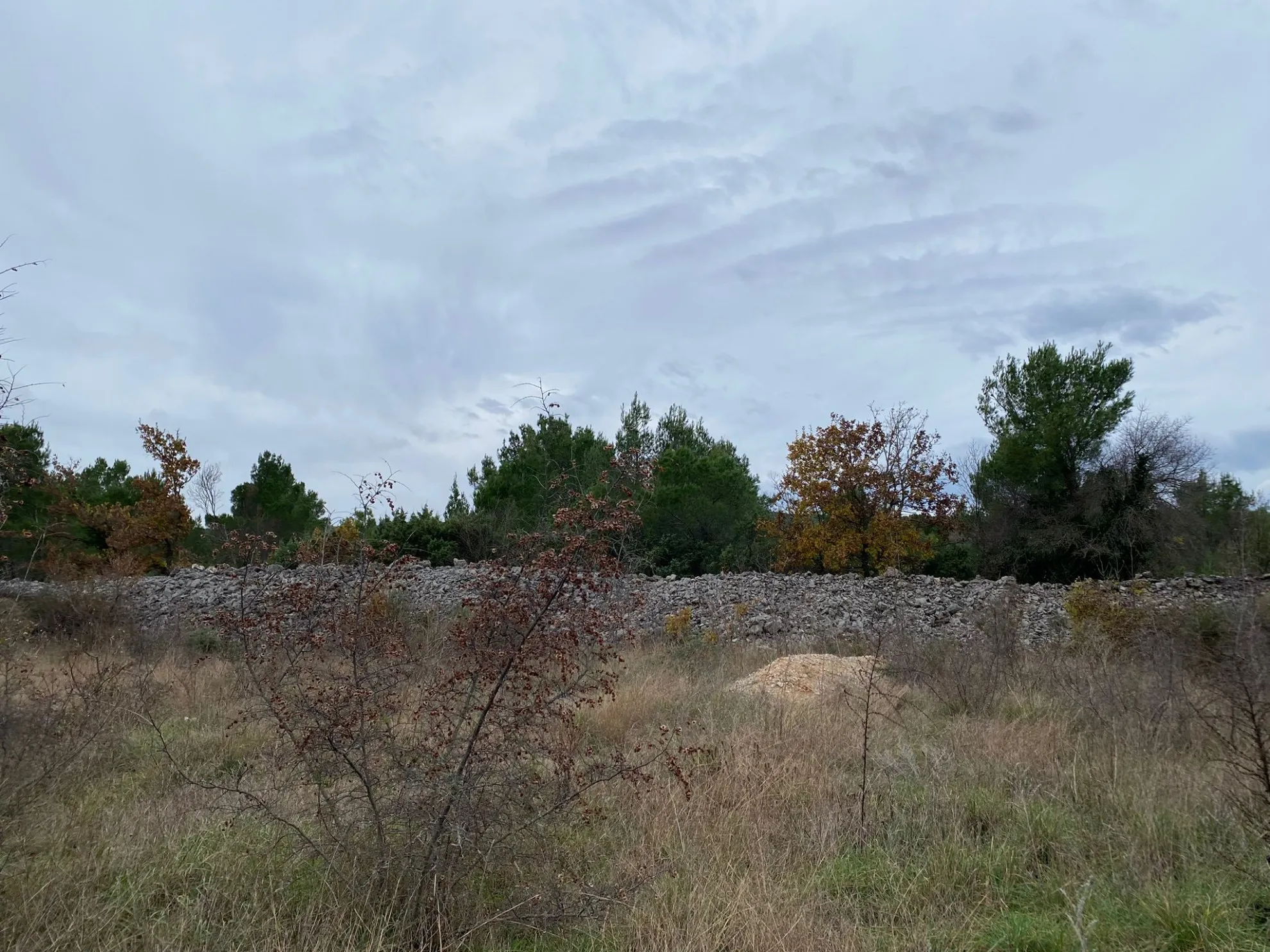građevinsko zemljište u dubravi 1005 m2 - slika 2