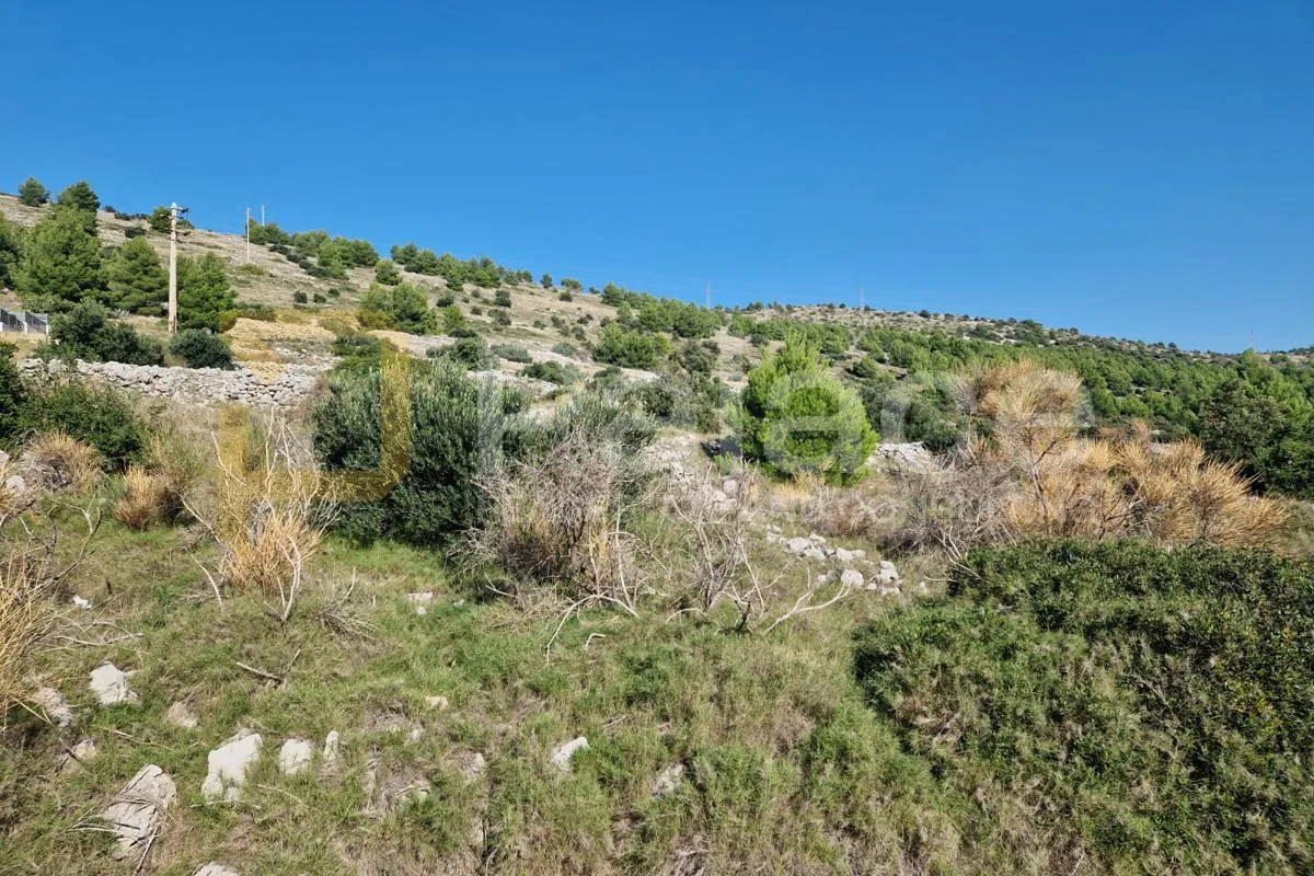 žaborić, jasenovo: građevinsko zemljište 100m od mora površine 1398m2 - slika 3