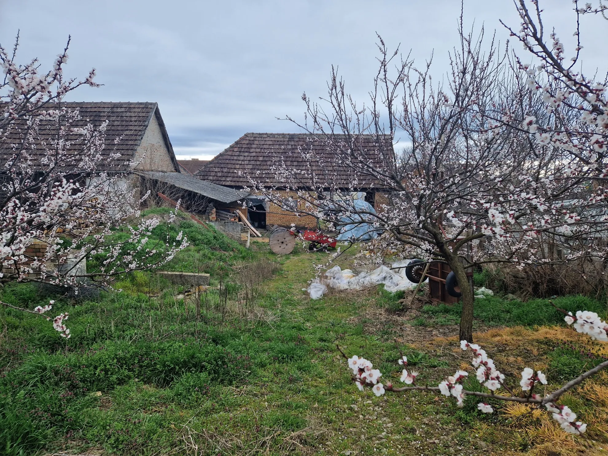 voćnjak i građevinsko zemljište 1745 m2, kneževi vinogradi - slika 2