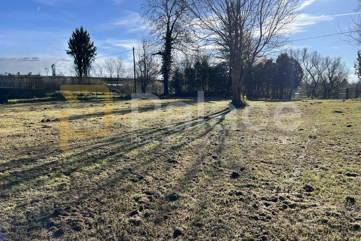 *sniženo sniženo* pisarovina: građevinsko zemljište 1494 m2 - slika 6