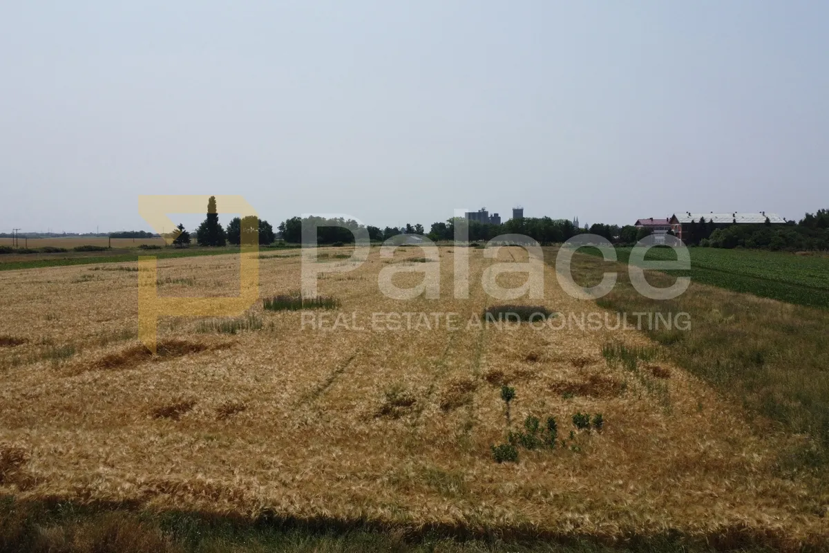 đakovo, poljoprivredno zemljište, 5345m2, prilika - slika 2