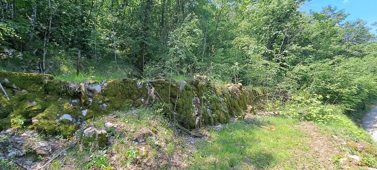 prilika! prostrano građevinsko zemljište, 5387m2, matulji (zvoneća) - slika 3