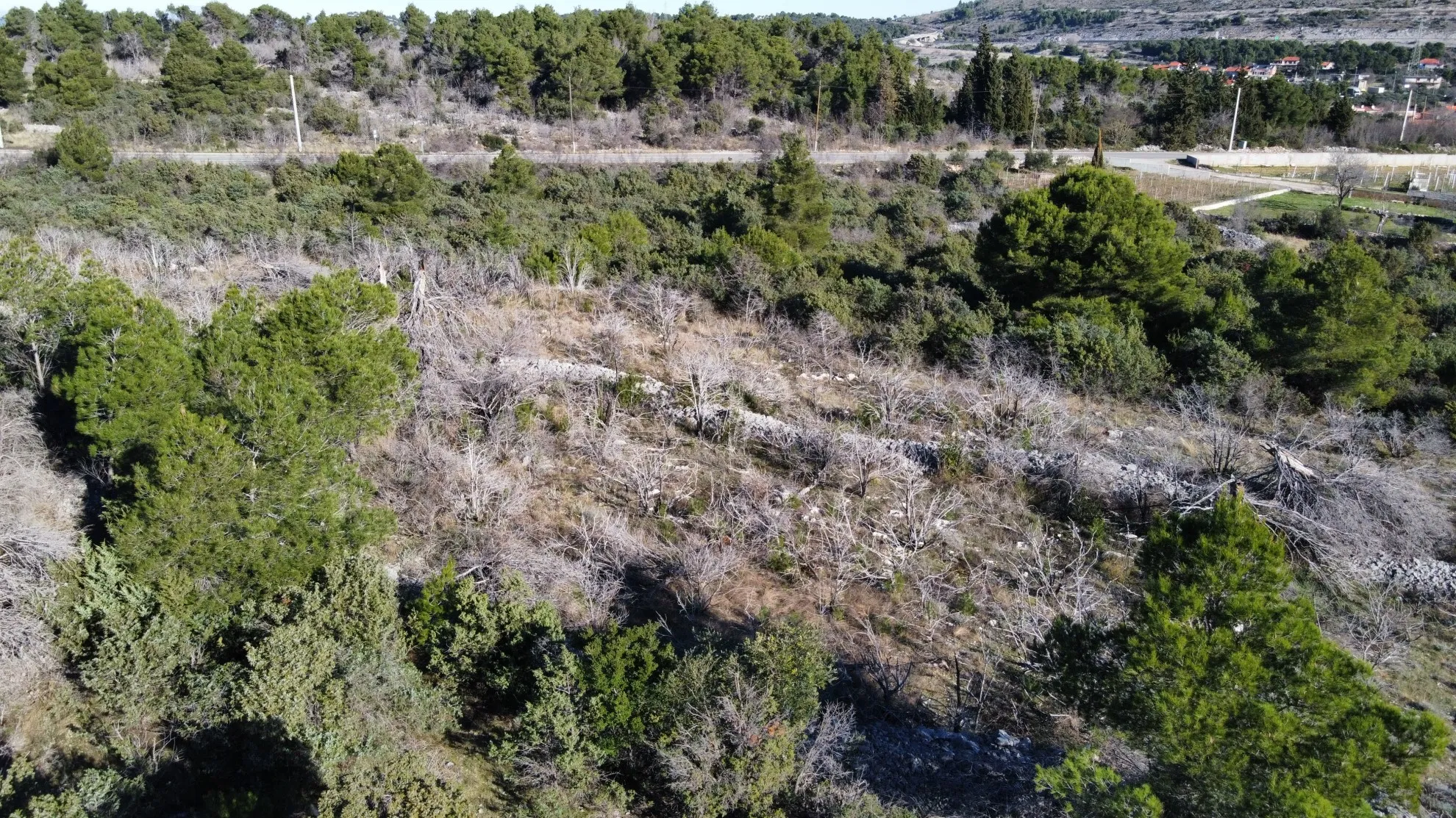 građevinsko zemljište, šibenik, bilice, 15.000 m2 - slika 6