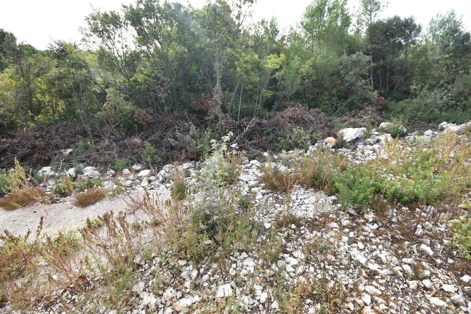 tribunj, sovlje - građevinsko zemljište 2102 m2 - slika 2