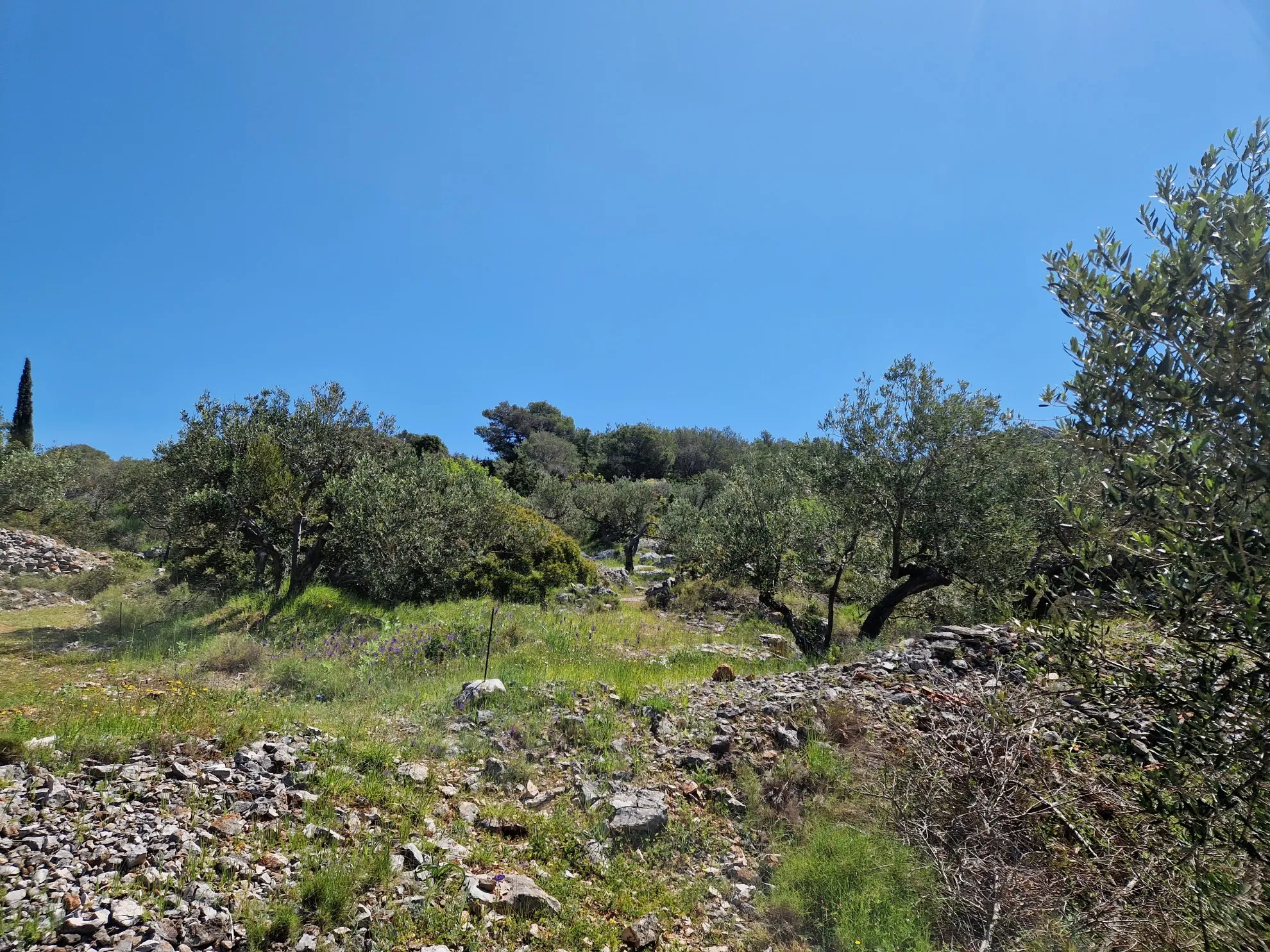 Građevinsko zemljište, Kaprije, 453 m2 - Kaprije, Šibenik