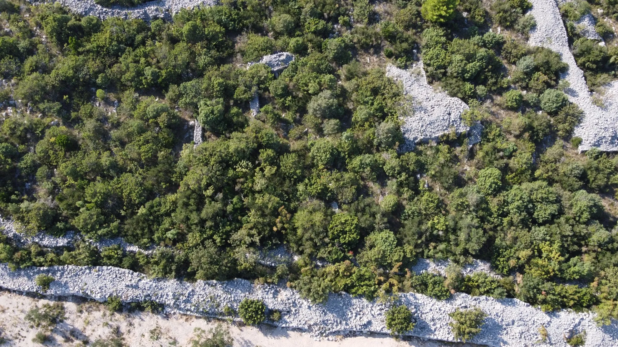 prosika: poljoprivredno zemljište, 617 m2 - slika 2
