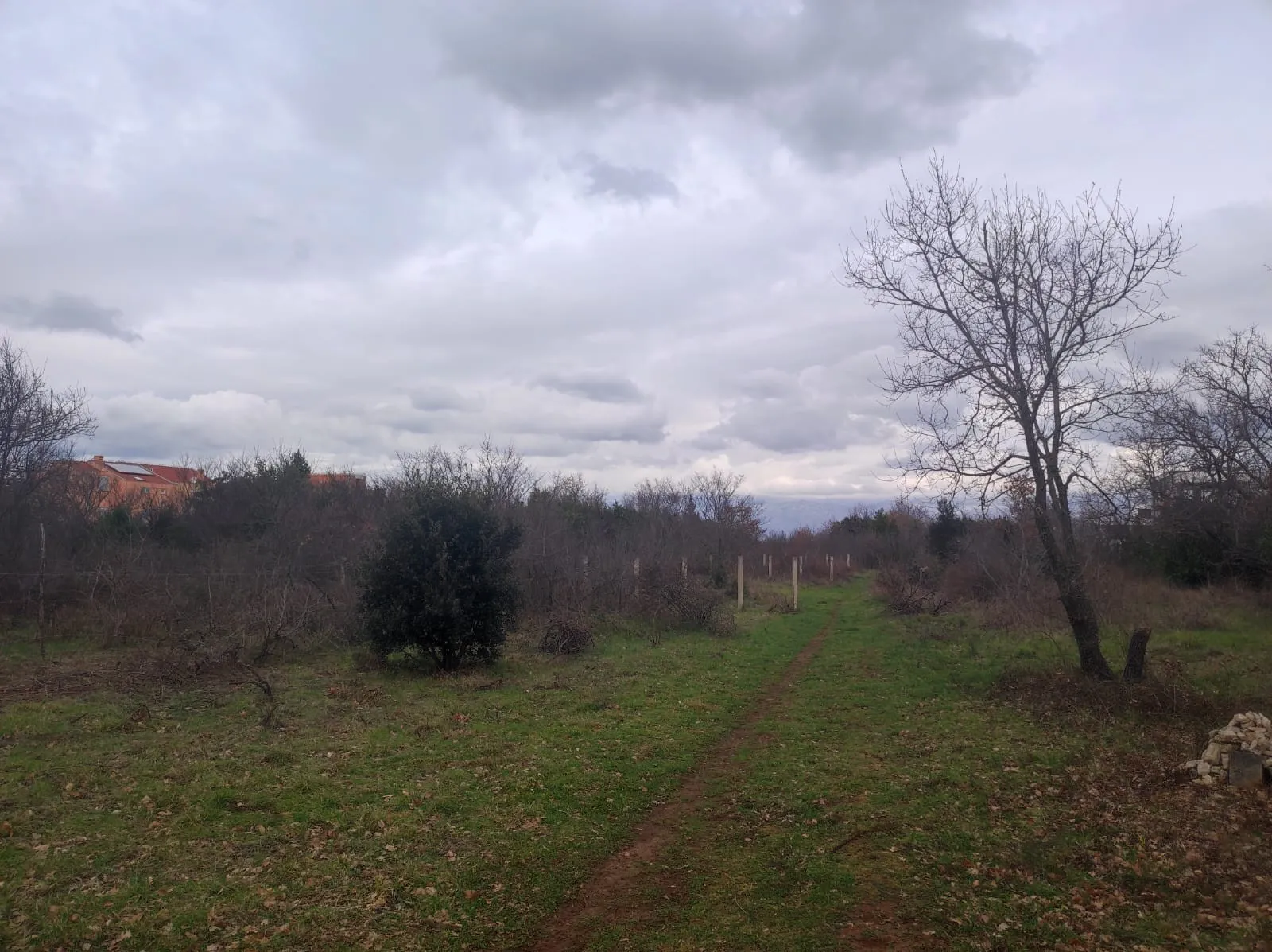 poljoprivredno zemljište 4986m2 , nin-zaton - slika 2