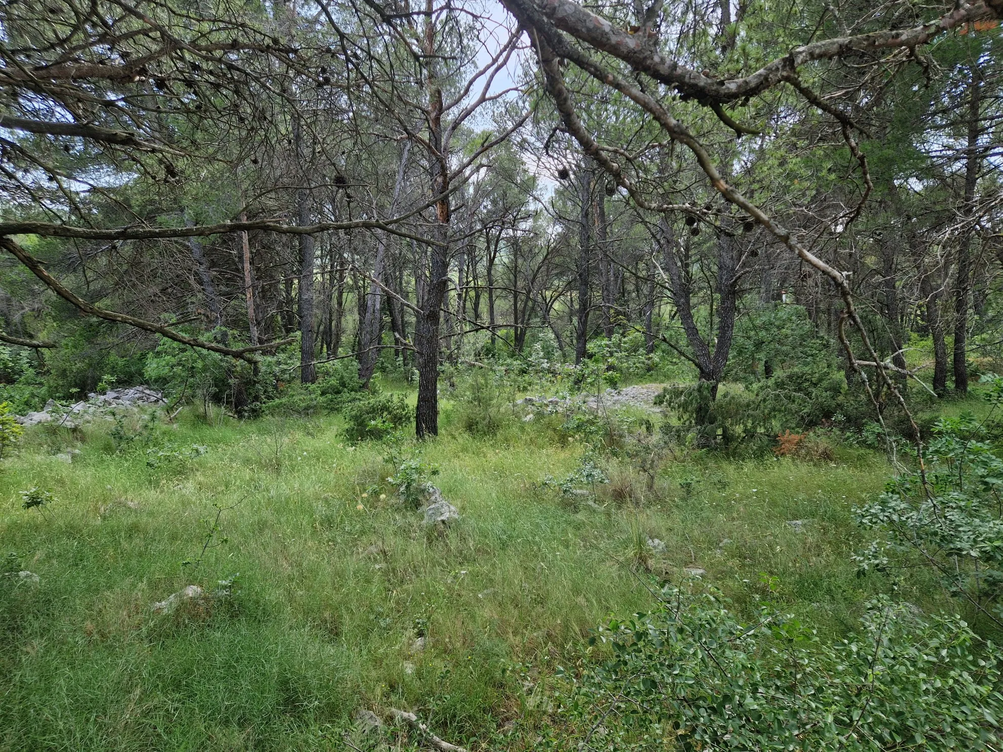 građevinsko zemljište u dubravi na lijepoj lokaciji 1009 m2 - slika 2