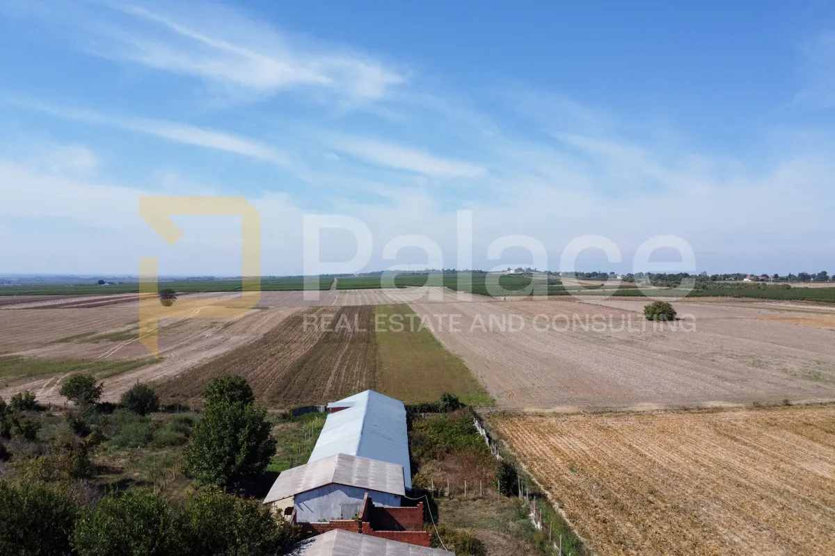 imanje s registriranom farmom i stambenim prostorom , 17500m2 erdut - slika 3