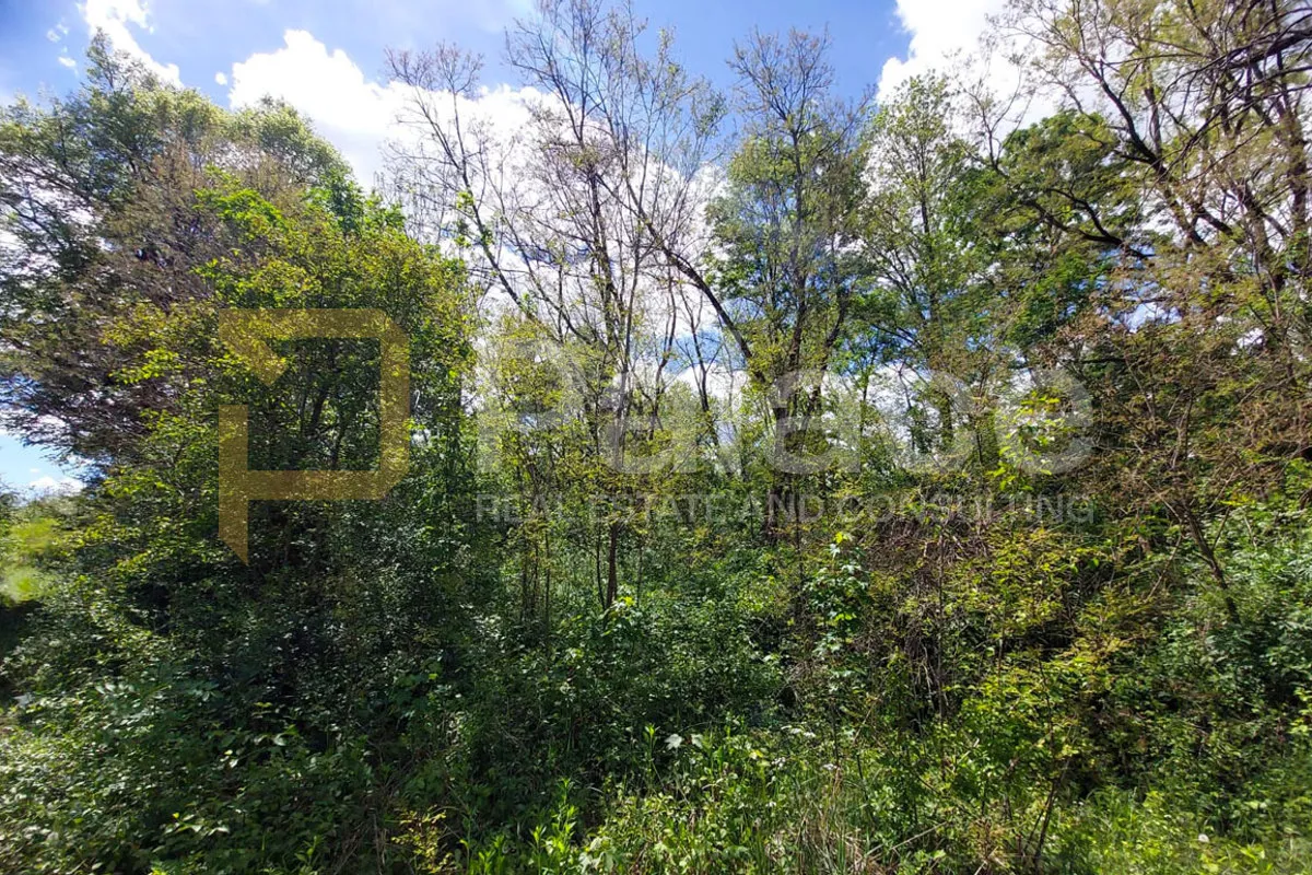 zemljište u srcu prirode - blizu plitvičkih jezera, sadilovac, 26918m² - slika 5
