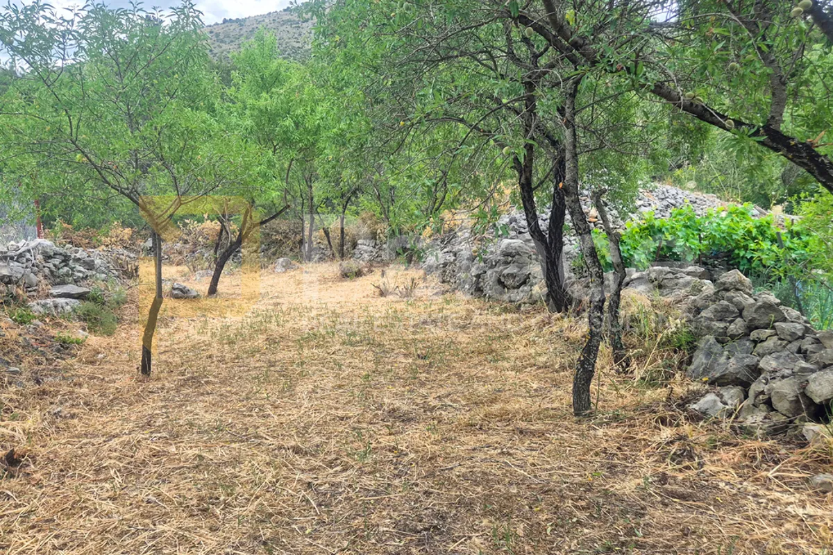 povoljno: dvije kamene kuće s velikim dvorištem, bilice 90 m2 - slika 13