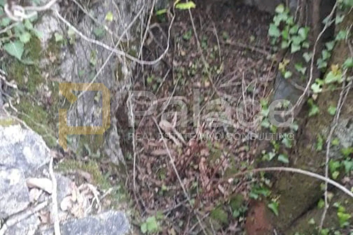poljoprivredno zemljište, vrisnik na hvaru, 24000m² - slika 10