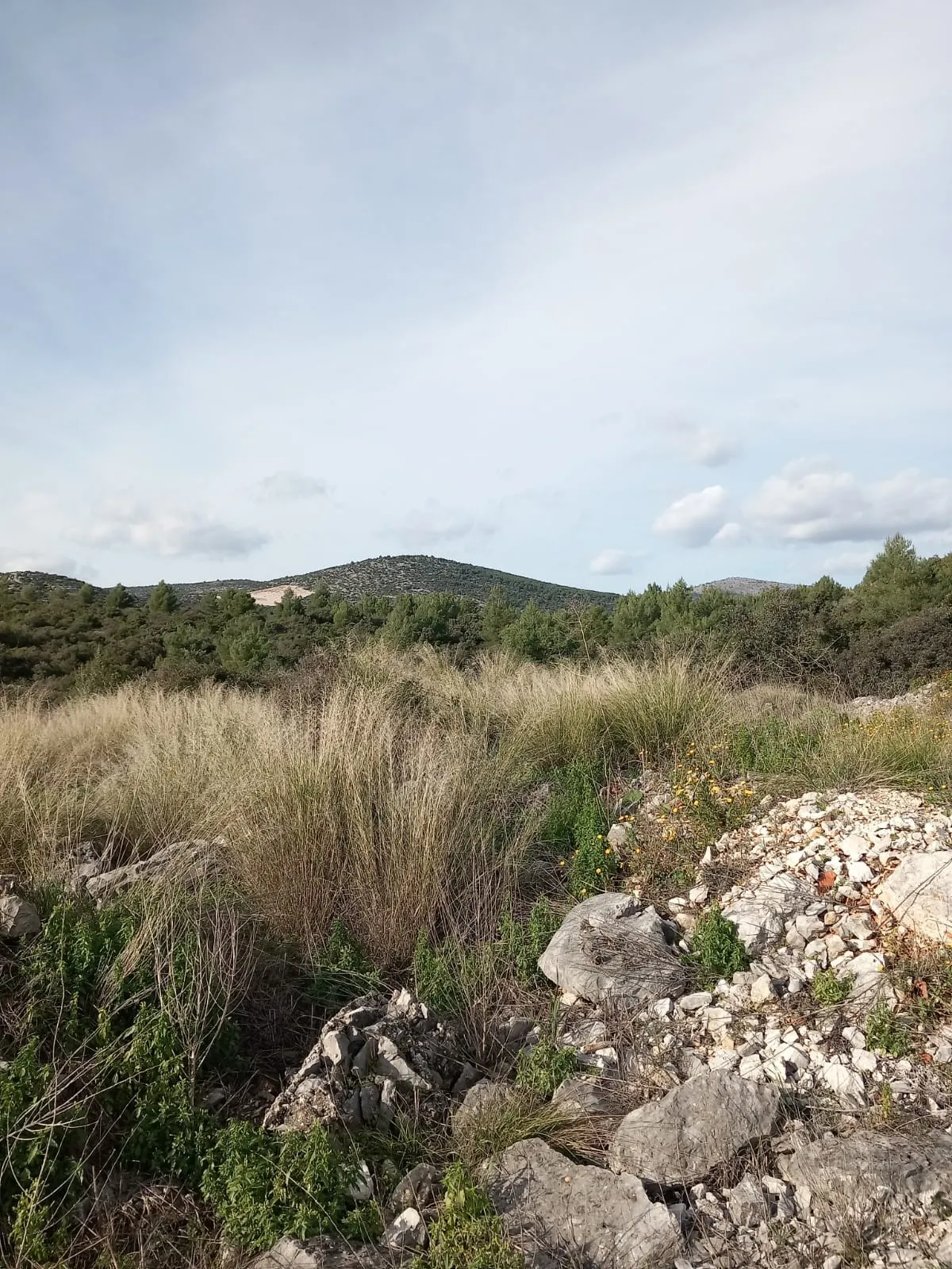 na prodaju poljoprivredno zemljište u marini, 4264 m² - slika 5