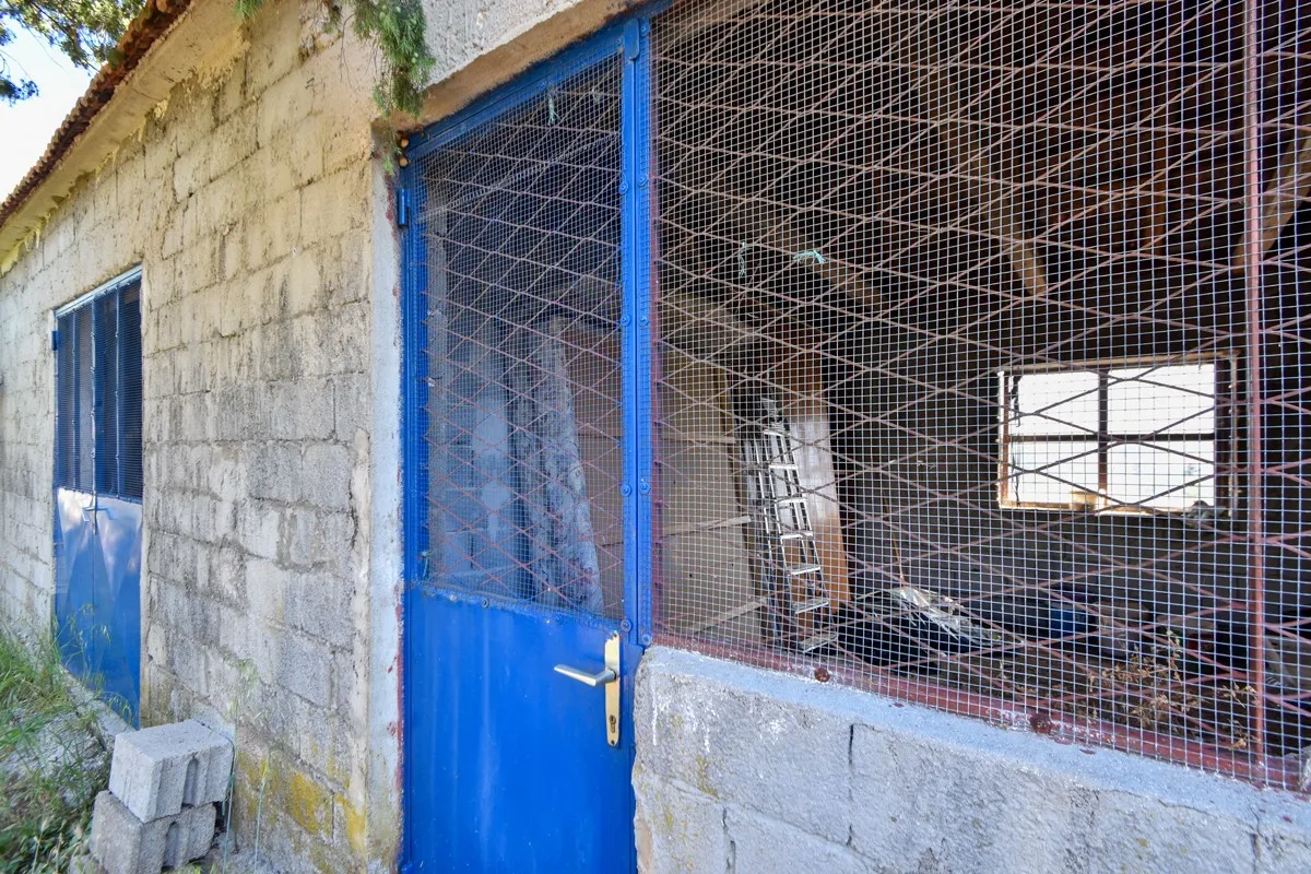 manja roh bau kuća 50 m2 s okućnicom, šibenik-raslina - slika 4