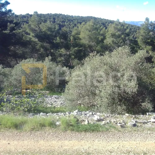 Građevinsko zemljište, Vela Luka, 1022 m2