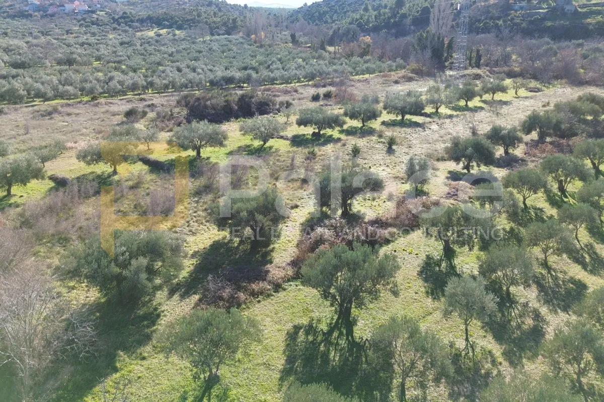vrijedno poljoprivredno zemljište uz put, skradin-sonković, 1879 m2 - slika 3