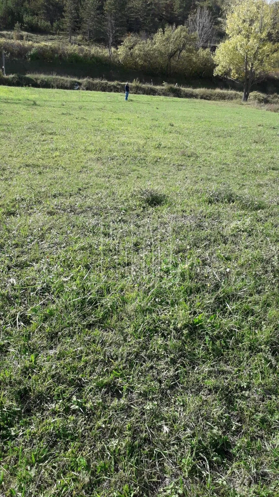građevinsko zemljište, drniš, kljake, 1840 m2 - slika 5