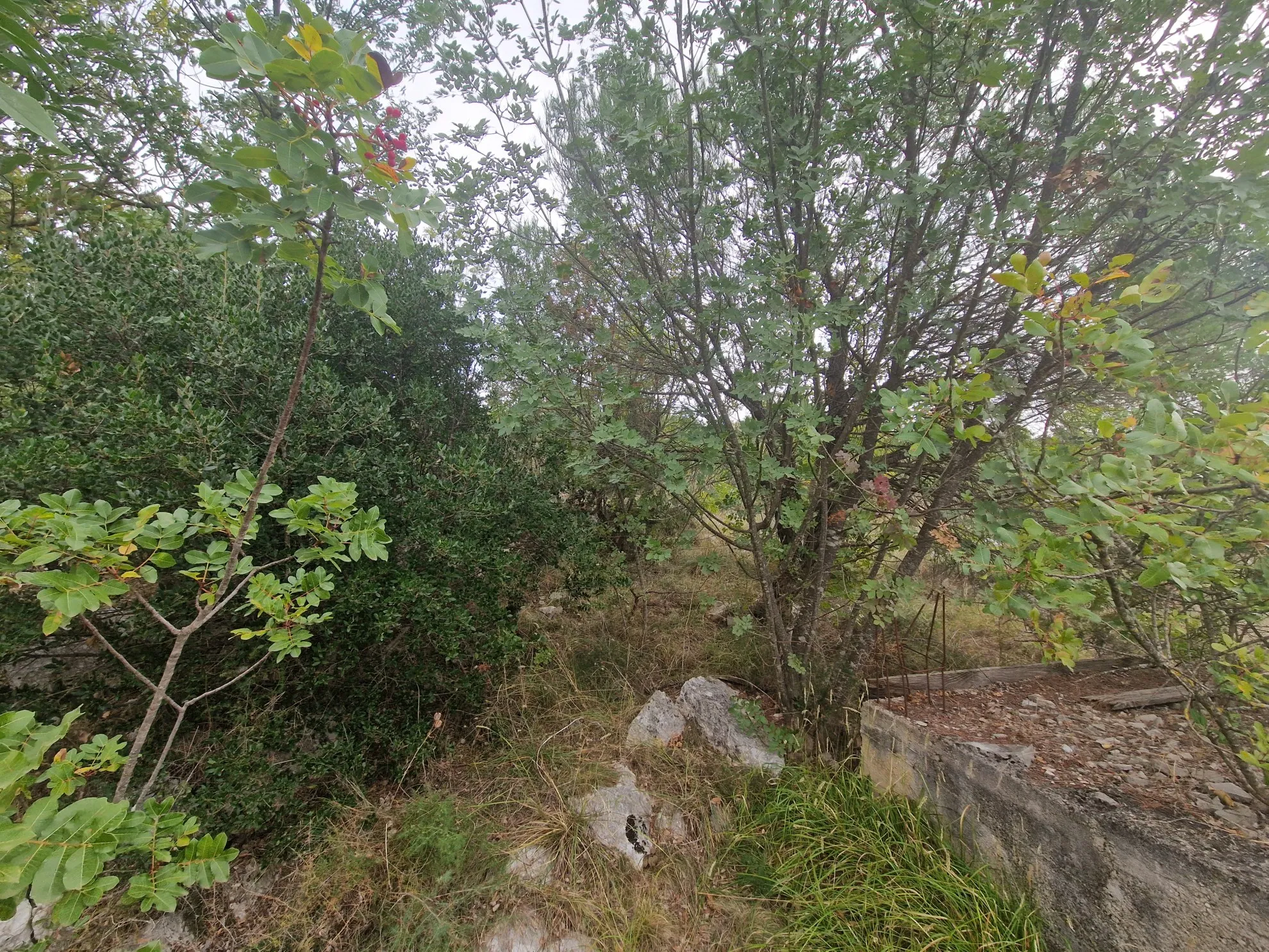 zemljište u bilicama na prodaju 870 m2 - slika 2
