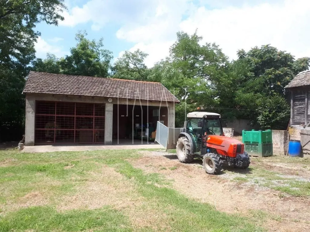 prodaja imanja novi bolman 85000 m2 (kuća s okućnicom i voćnjak) - slika 11