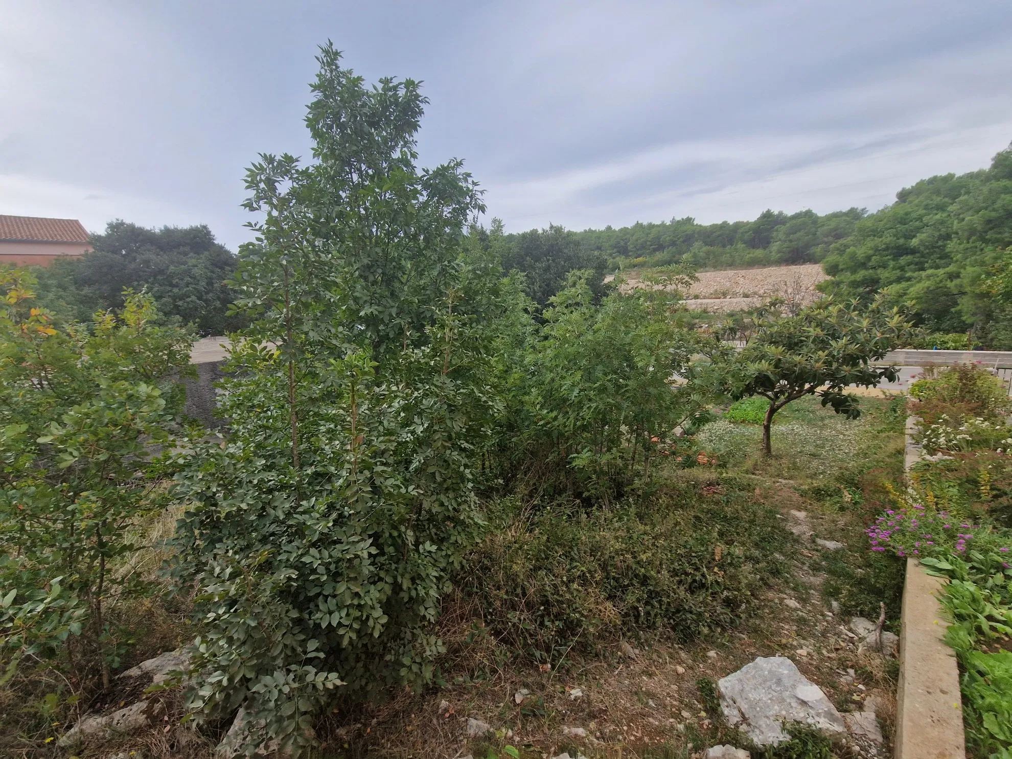 zemljište u bilicama na prodaju 870 m2 - slika 4