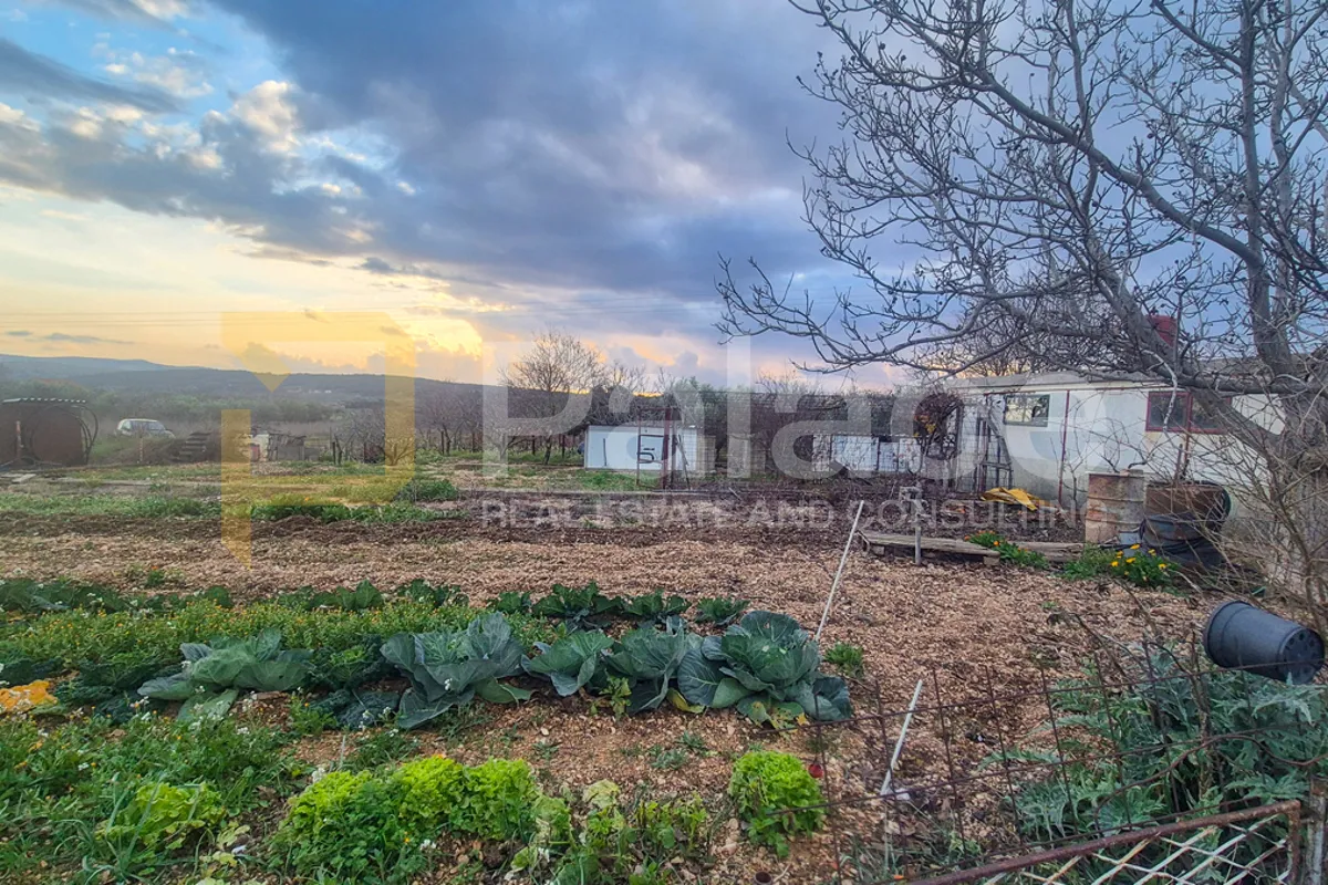 kuća na zemljištu s vinogradom i maslinikom, 2500 m2, donje polje - slika 13