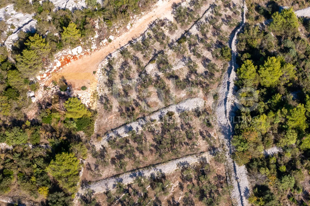 bilice, vrulje: poljoprivredno zemljište u prvom redu do mora 4050m2 - slika 8
