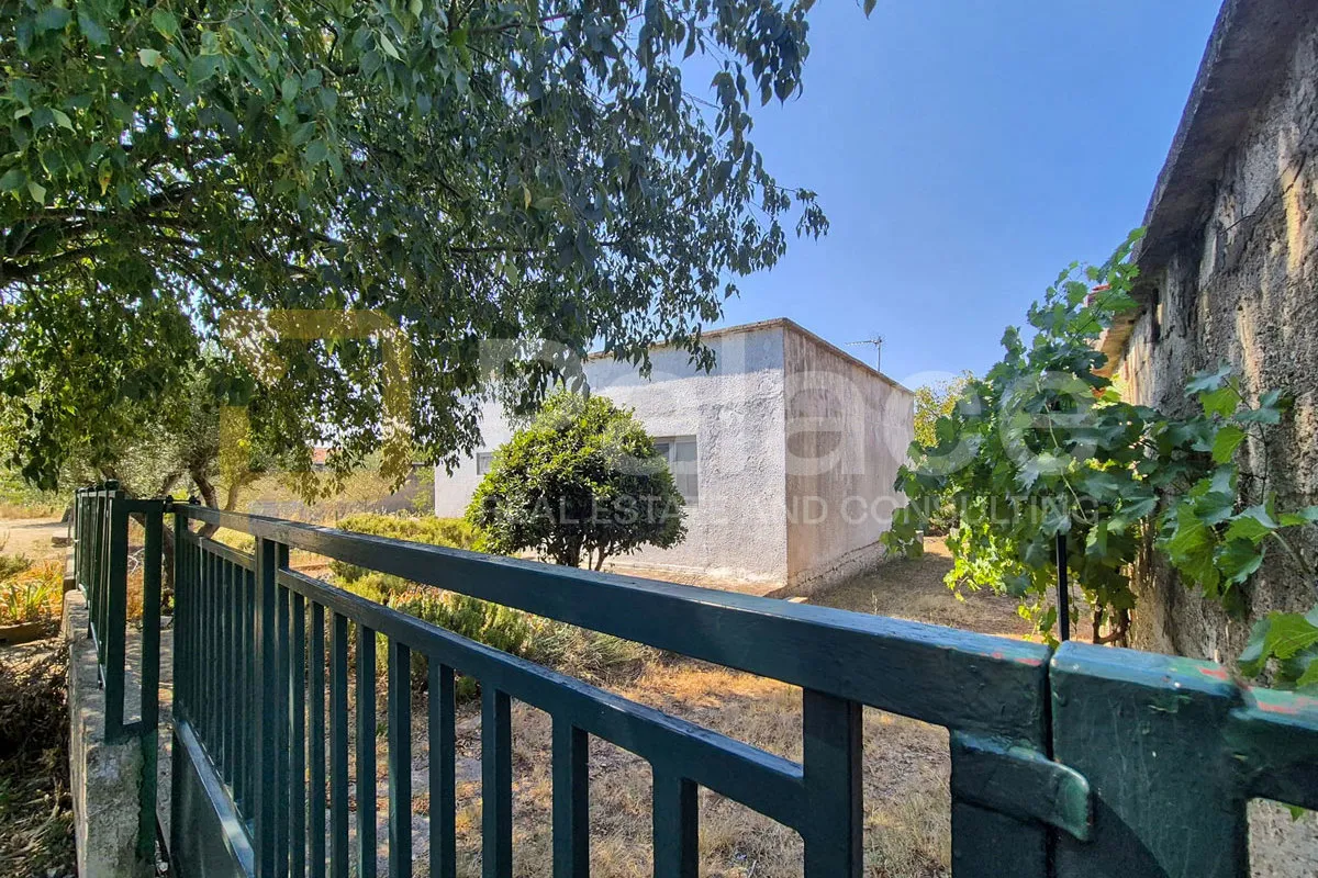 kuća okružena prirodom s velikom okućnicom i maslinama, gaćelezi - slika 13