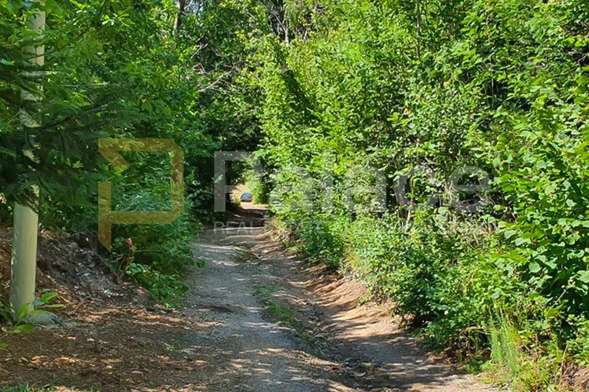 kuća na savršenoj lokaciji za turizam i odmor, breze, 383m2 - slika 12