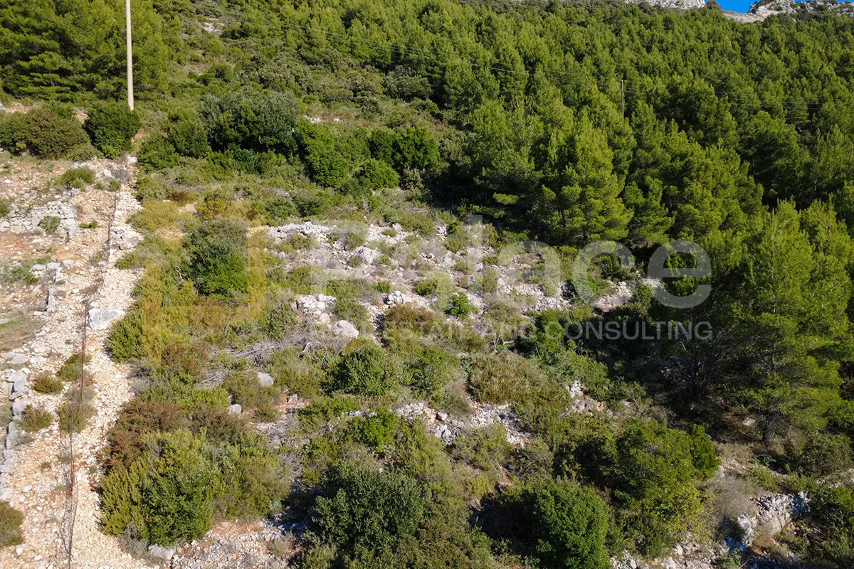 trstenik, pelješac - jedinstveno poljoprivredno zemljište, prvi red do mora - slika 11