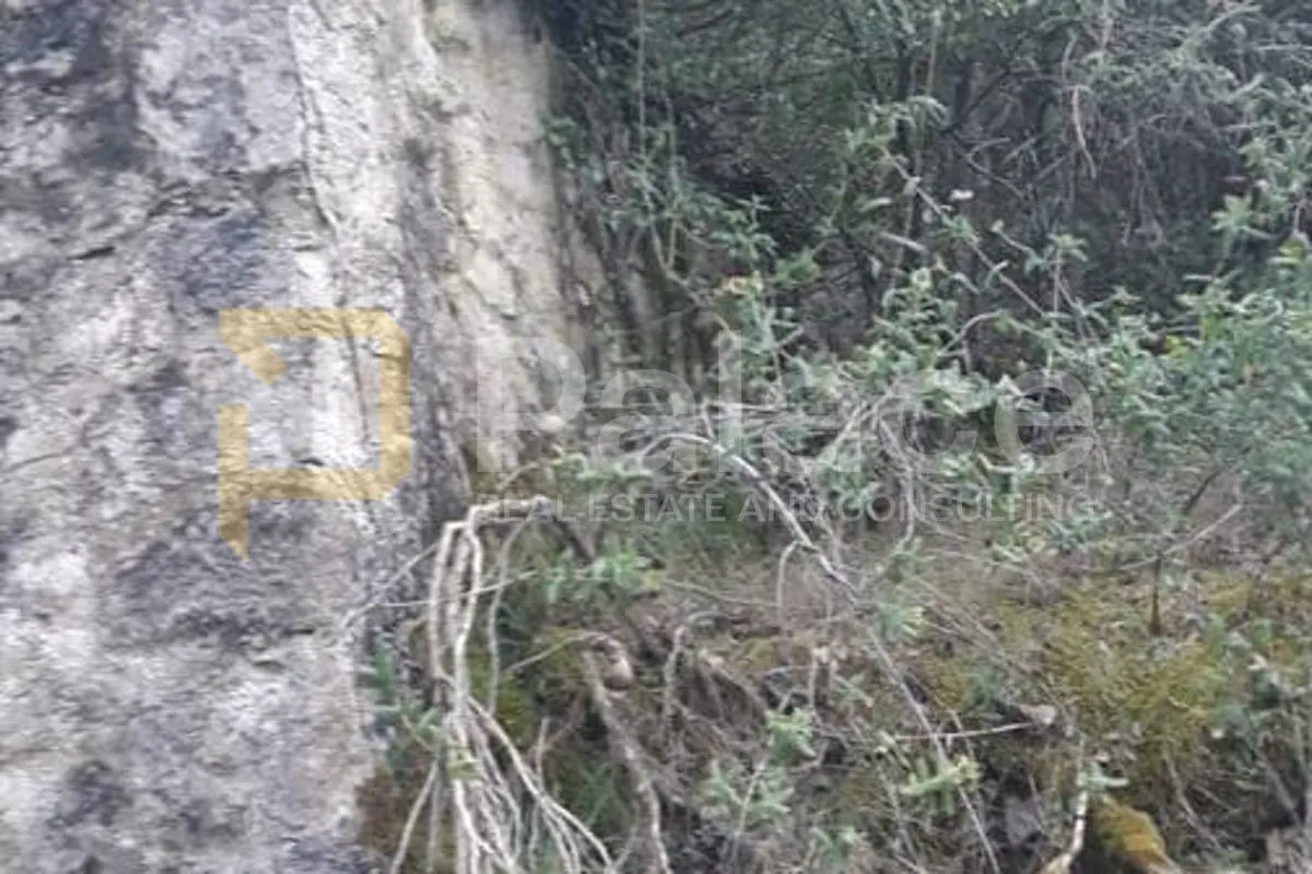 poljoprivredno zemljište, vrisnik na hvaru, 24000m² - slika 3