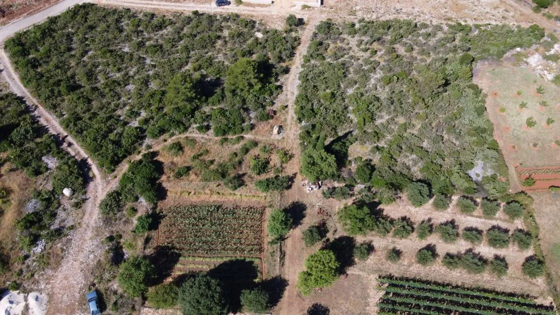 raštane (podvršje): građevinsko zemljište 1270 m2 - slika 2