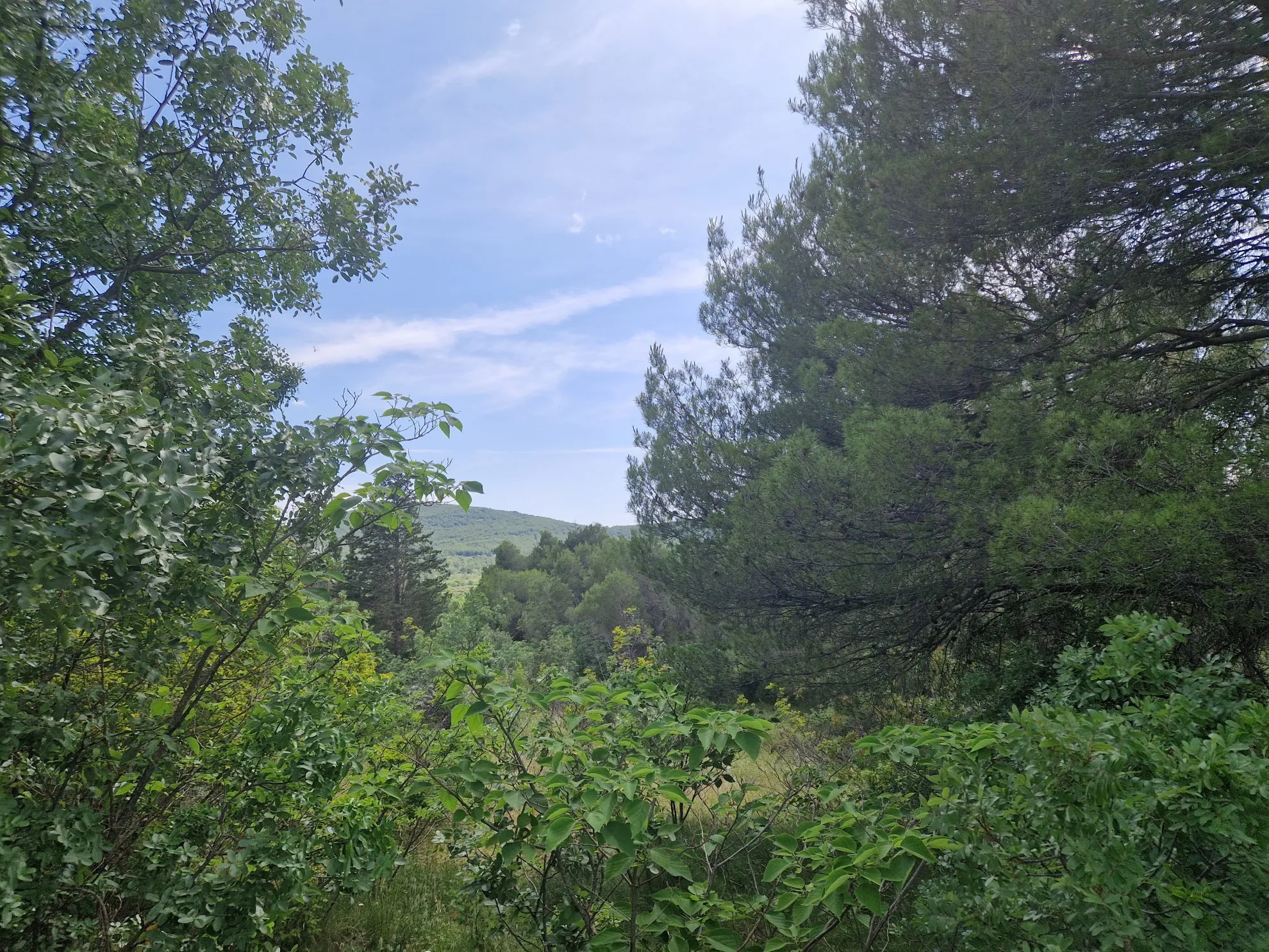 građevinsko zemljište u dubravi na lijepoj lokaciji 1009 m2 - slika 3