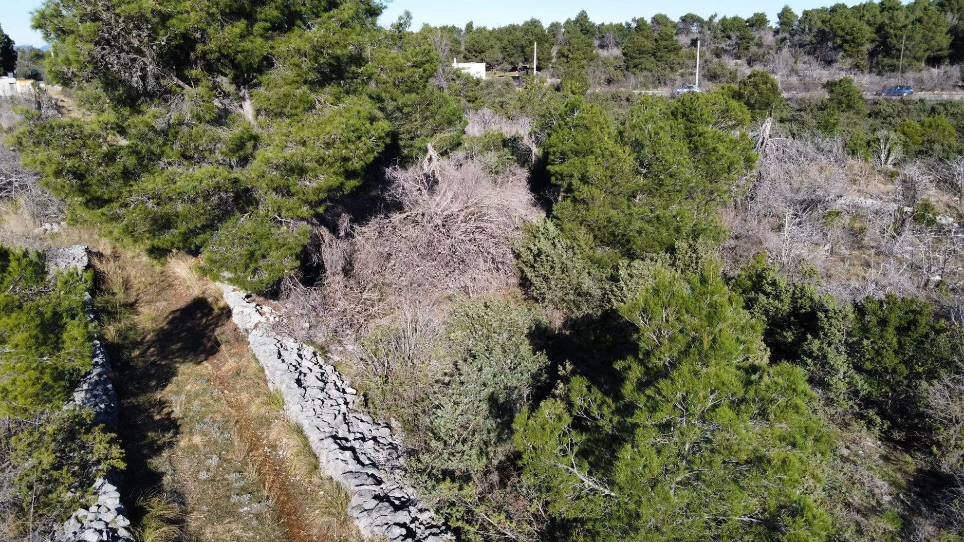 građevinsko zemljište, šibenik, bilice, 15.000 m2 - slika 5