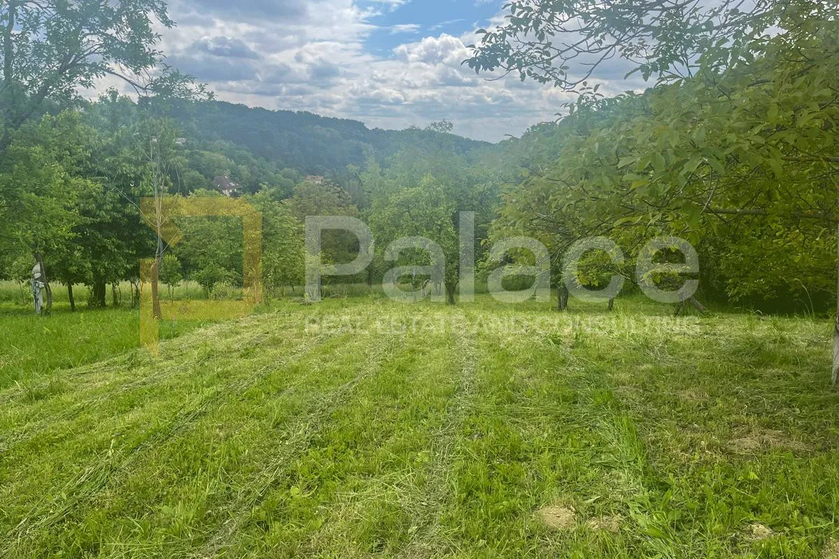prilika za investiciju ili luksuzno imanje: gračani, 6.498 m2 - slika 2