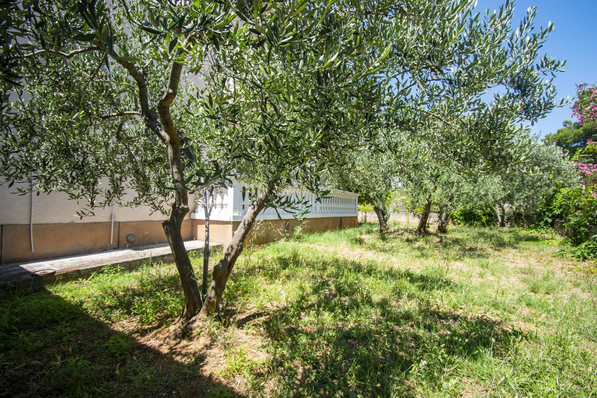 kuća na zemljištu od 3500 m2, vodice - slika 24