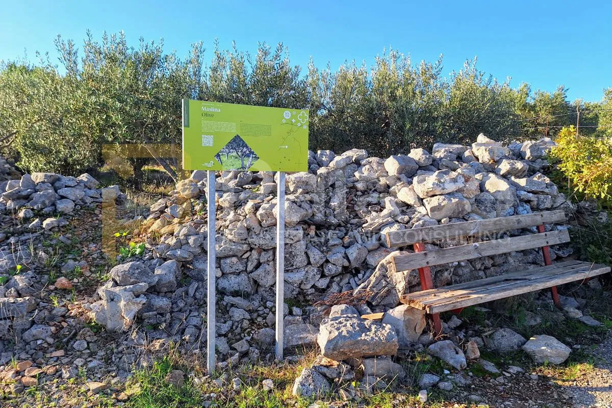 predivno poljoprivredno zemljište na odličnoj lokaciji - slika 3