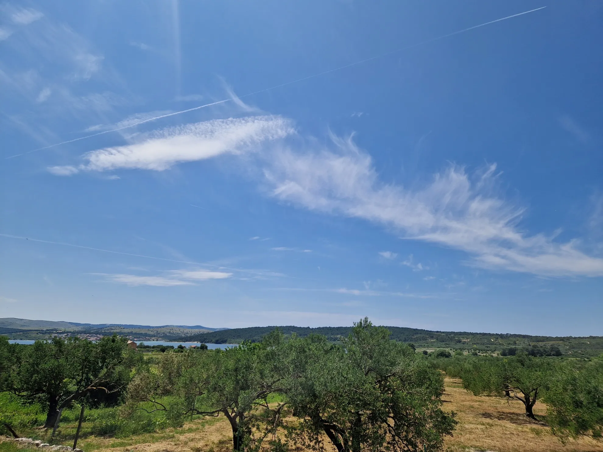 poljoprivredno zemljište, donje polje - slika 2